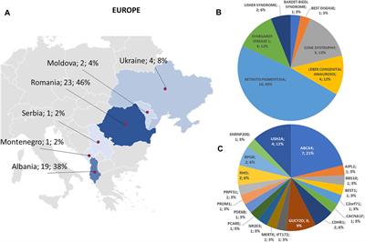 Genetics of Inherited Retinal Diseases in Understudied Ethnic Groups in Italian Hospitals